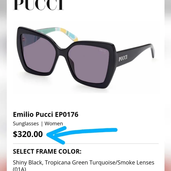 NWT Emilio PUCCI Butterfly Sunglasses - Picture 12 of 13